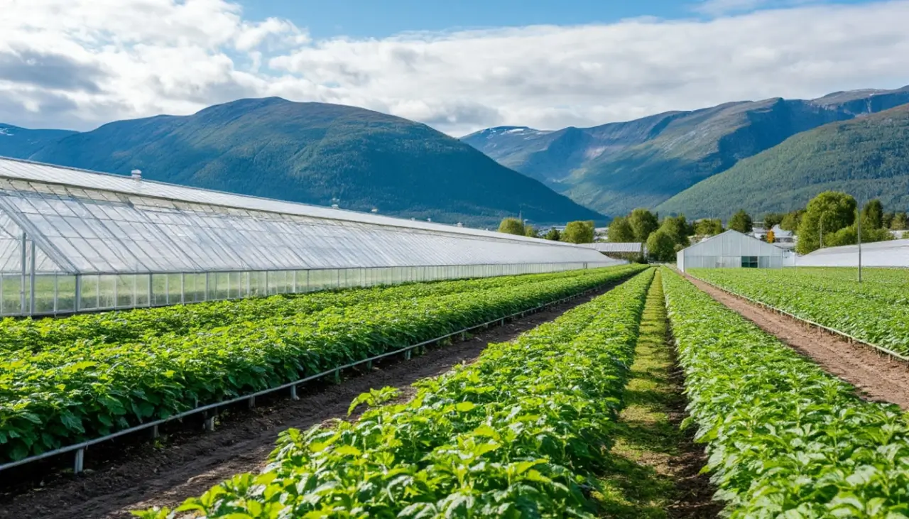 Работа в теплицах Норвегии 2025